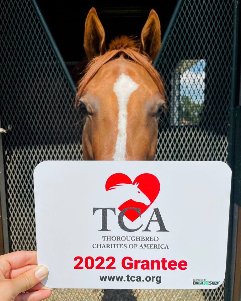 TCA Awards Annual Grants Thoroughbred Charities of America